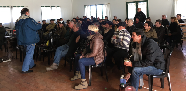 Jornada ganadera en el establecimiento El Amanecer