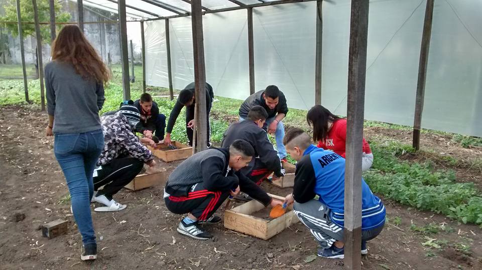 Dictamen correspondiente a la Convocatoria Ordinaria de  Proyectos de Extensión de la UNLP Año 2015