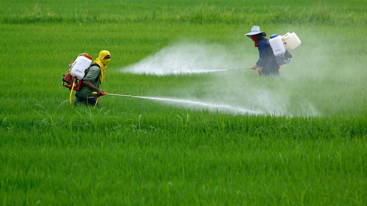 Jornada de Actualización del Efecto de Plaguicidas sobre Enemigos Naturales en Horticultura
