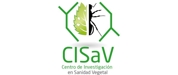 Jornada de Jóvenes Investigadores del CISaV Jornada de Jóvenes Investigadores del CISaV