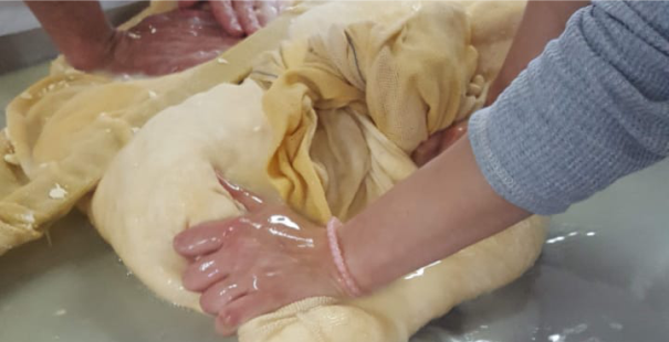 Haciendo alimentos de calidad parte V
