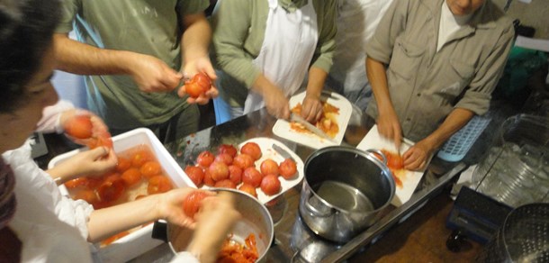Manipulación de Alimentos