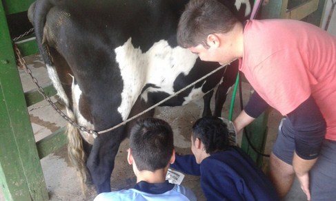 Visitas de  escuelas en el Tambo 6 de Agosto 