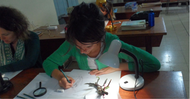 Se realizó el curso “Ilustración en el Jardín Botánico