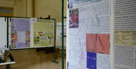 Exposición de los trabajos del LAMCE 
