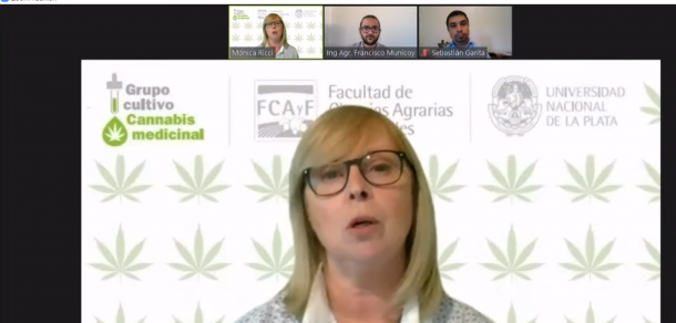 Inició el Curso de Extensión “Cultivo de Cannabis sativa con fines medicinales”