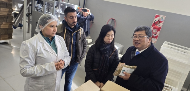 Visita de Investigadores “Universidad Politécnica de Wuhan, Rep. Popular China”