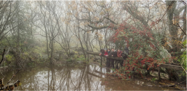 Pasantía en Córdoba  “Relevamiento Florístico y Estructural de Bosque Nativo” 