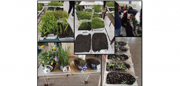Territorios serranos sostenibles – Tercer Taller en Tandil