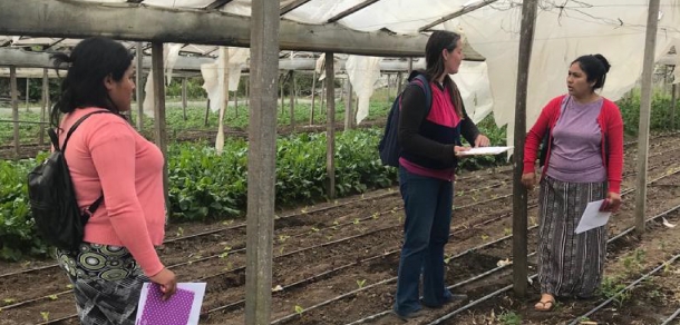 Visita grupal de implementación de la guía de seguimiento de base agroecológica del sistema participativo de garantía 