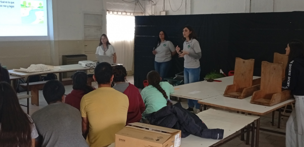 Proyecto de Voluntariado en Tandil