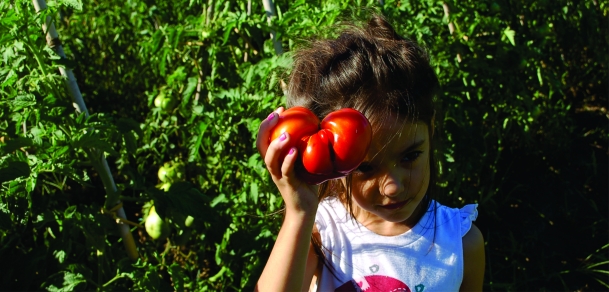 Fiesta del Tomate Platense