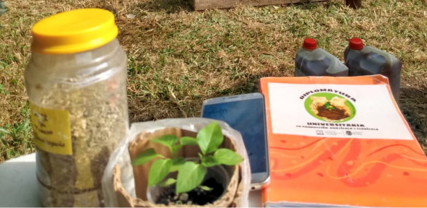 DIPLOMATURA EN PRODUCCIÓN HORTÍCOLA Y FLORICOLA