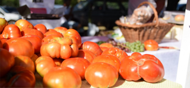 16° Fiesta del tomate platense 