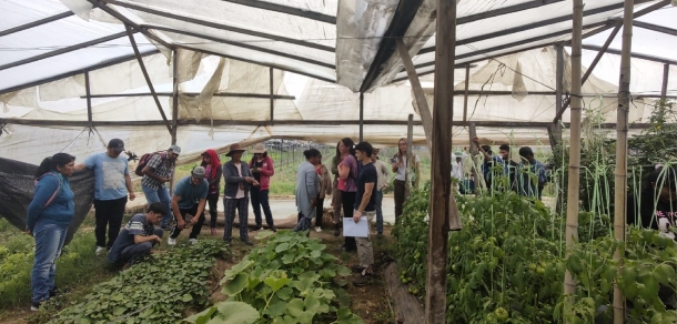 Taller: La importancia de la biodiversidad en quintas hortícolas agroecológicas: Aportes a los sistemas participativos de garantías