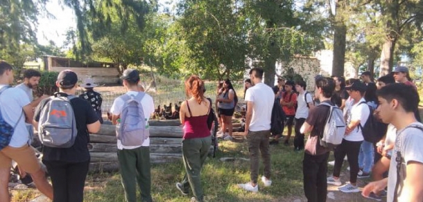 Actividades en el marco del TAU