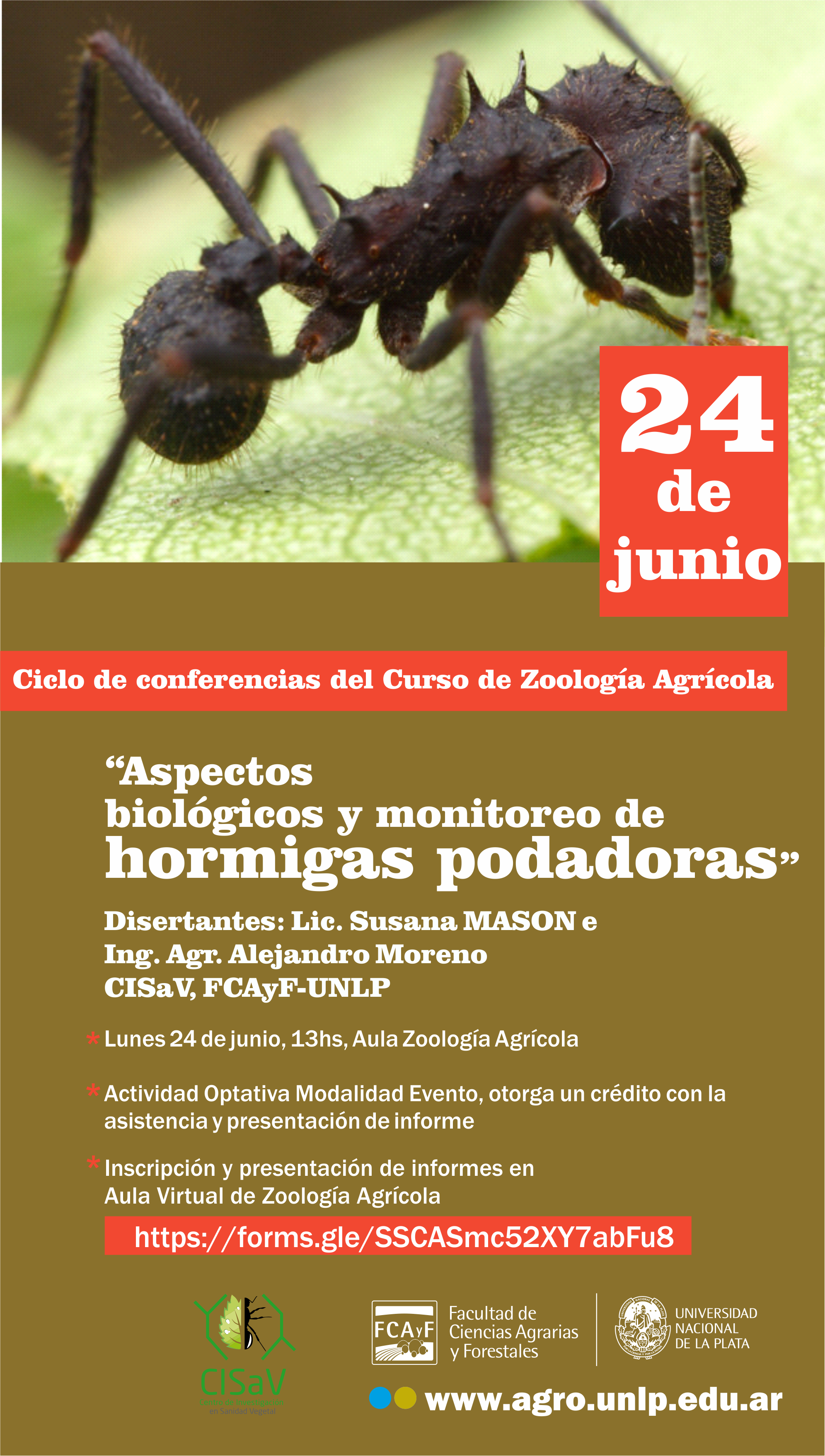 Aspectos biológicos y monitoreo de hormigas podadoras 