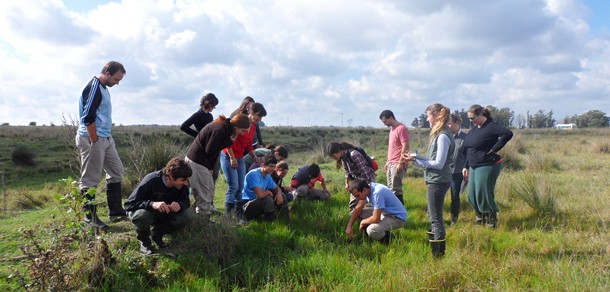 Salida de campo de la cursada Optativa Ecofisiología de pastizales