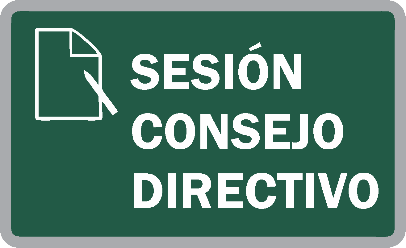 Sesión Ordinaria N° 96 del Consejo Directivo