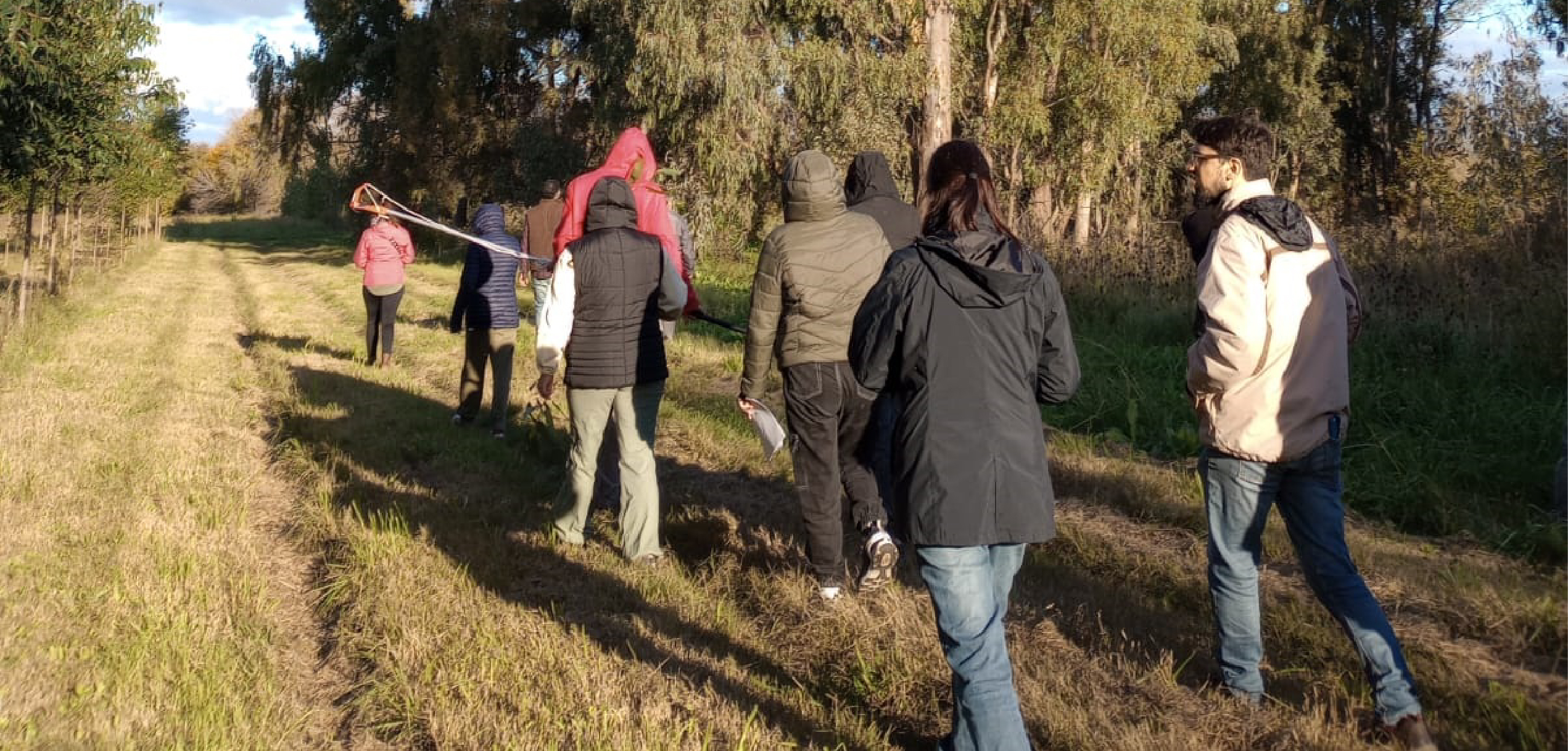 Salidas a campo con la cursada de Dendrología