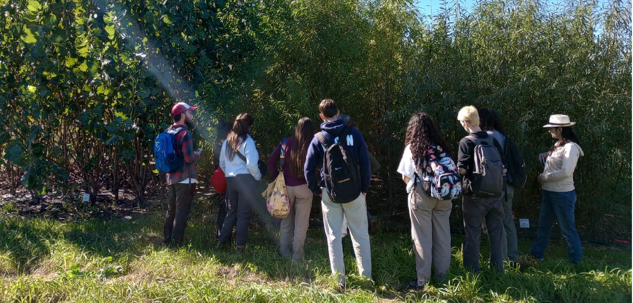 Salidas a campo con la cursada de Dendrología