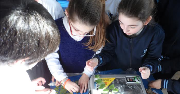 Visita de docentes de Fitopatología al Colegio Euforión