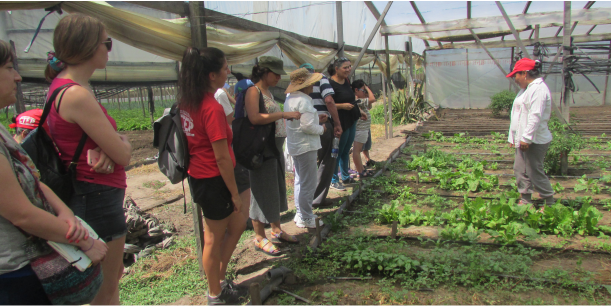 Visita de consumidores a productores  en transición agroecológica del CHP