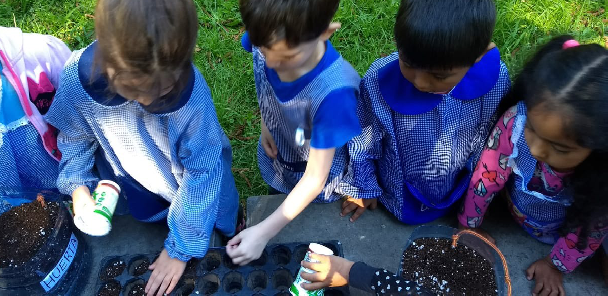 El Jardín Botánico y Arboretum Carlos Spegazzini: Un centro cultural educativo para la comunidad