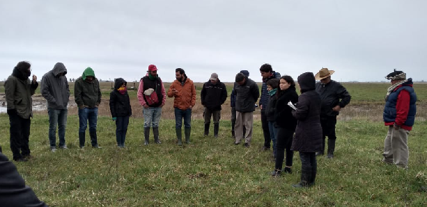 Transición Agroecológica en la Producción Ganadera
