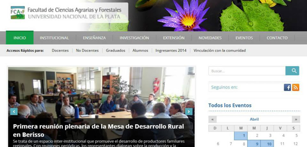 Nuestro sitio web cumple un año
