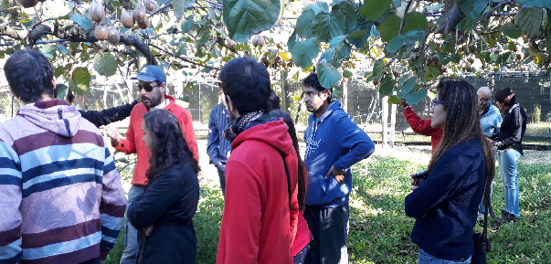 Cierre del Taller de poda de especies frutícolas de interés agronómico
