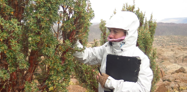 Campaña de medición de bosques de altura en Jujuy